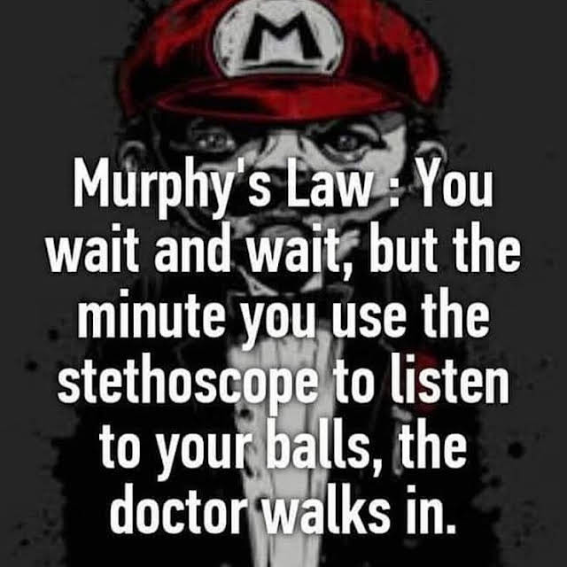 Murphy's Law Mario