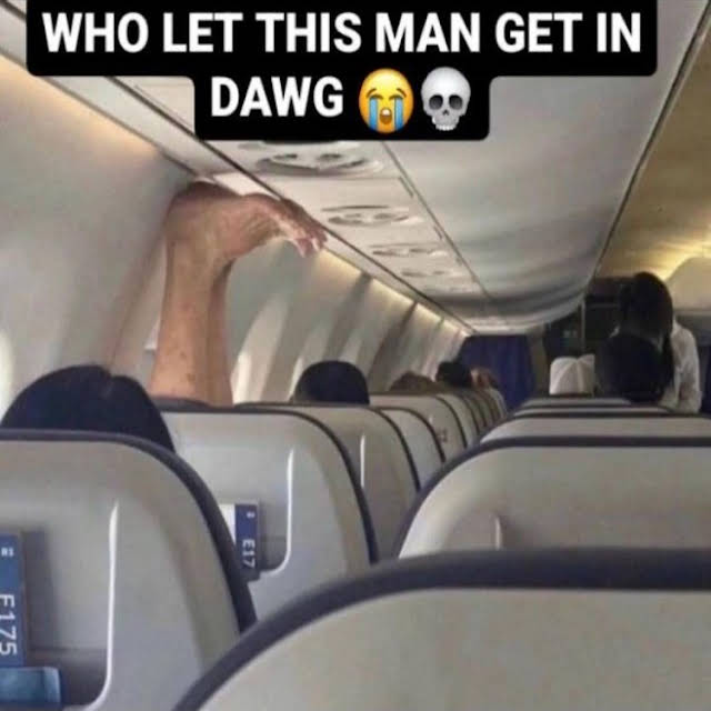 Airplane Legs