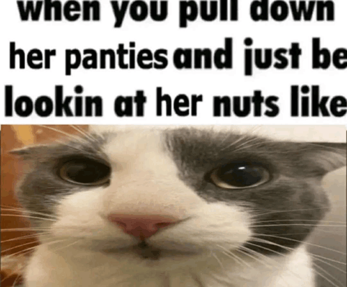 Scary GIF